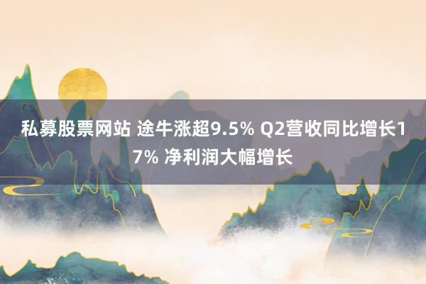 私募股票网站 途牛涨超9.5% Q2营收同比增长17% 净利润大幅增长