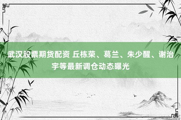 武汉股票期货配资 丘栋荣、葛兰、朱少醒、谢治宇等最新调仓动态曝光