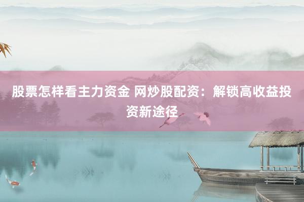 股票怎样看主力资金 网炒股配资：解锁高收益投资新途径