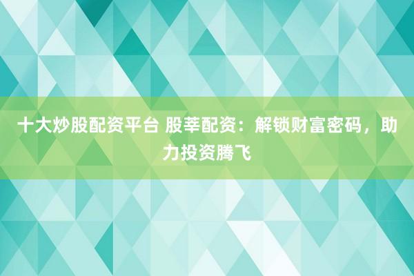 十大炒股配资平台 股莘配资：解锁财富密码，助力投资腾飞