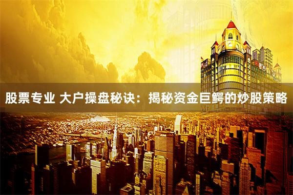 股票专业 大户操盘秘诀：揭秘资金巨鳄的炒股策略