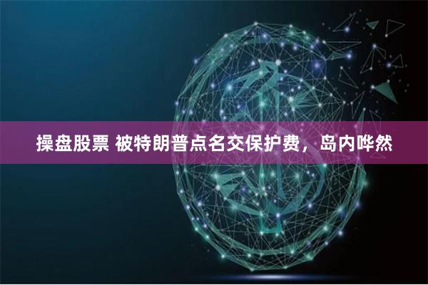 操盘股票 被特朗普点名交保护费，岛内哗然