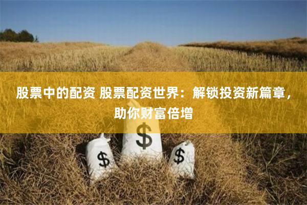 股票中的配资 股票配资世界：解锁投资新篇章，助你财富倍增