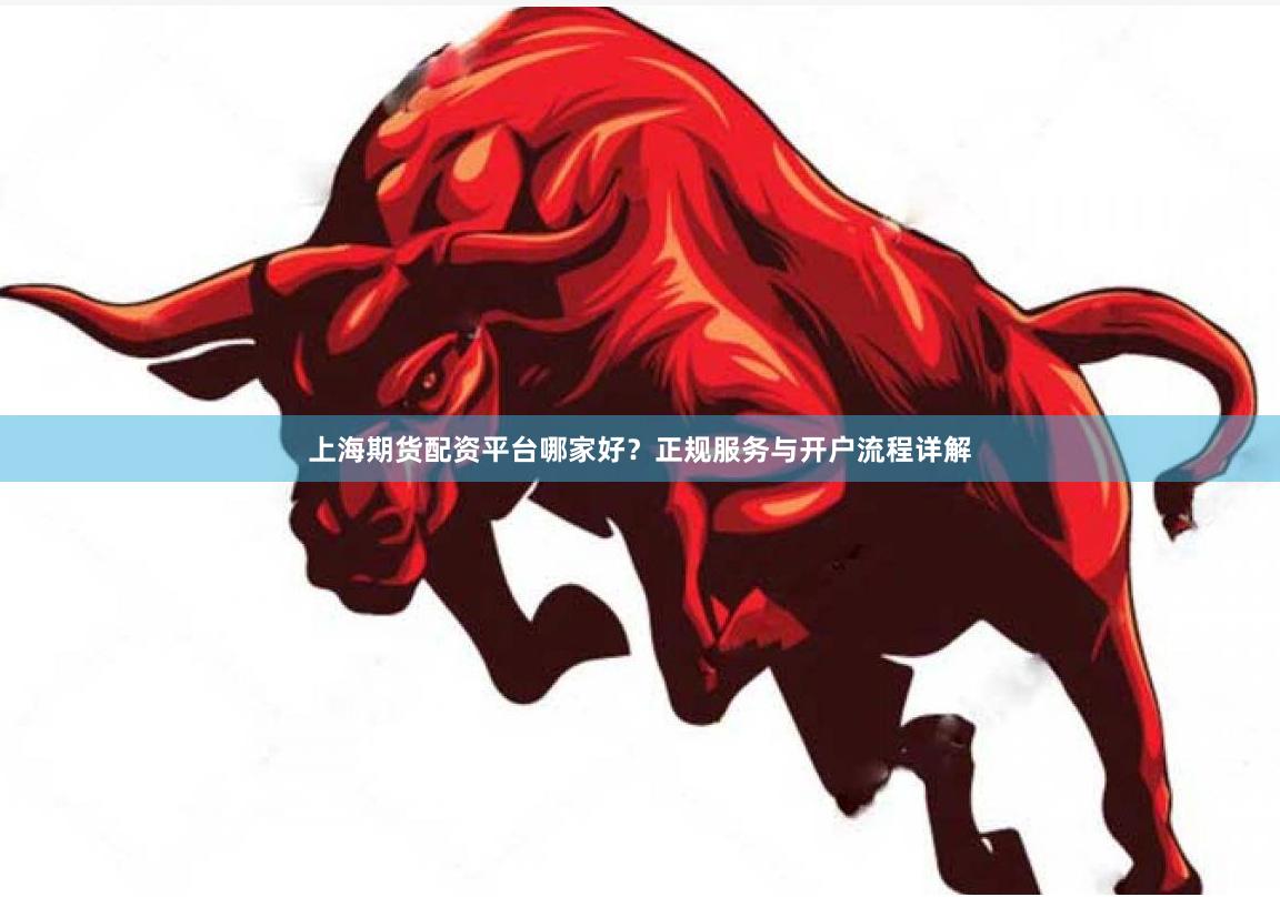 上海期货配资平台哪家好？正规服务与开户流程详解