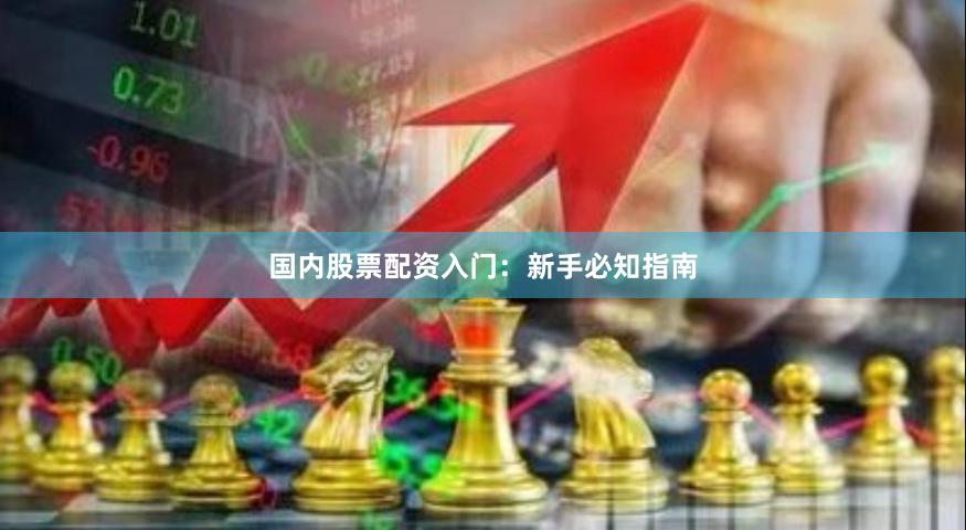 国内股票配资入门：新手必知指南