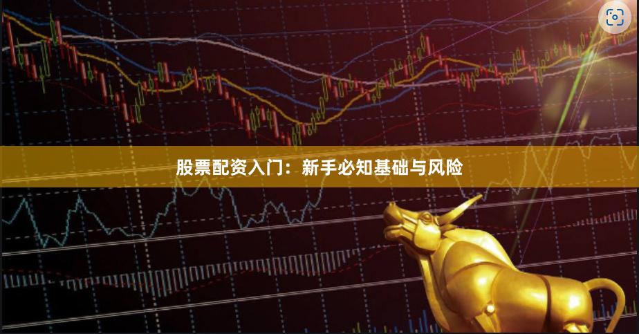 股票配资入门:新手必知基础与风险