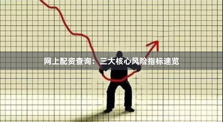 网上配资查询：三大核心风险指标速览